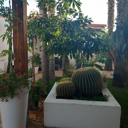 Villa Raggio Di Sole Parcheggio Privato Порто-Чезарео Екстер'єр фото