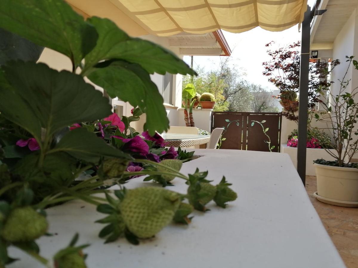 Villa Raggio Di Sole Parcheggio Privato Порто-Чезарео Екстер'єр фото