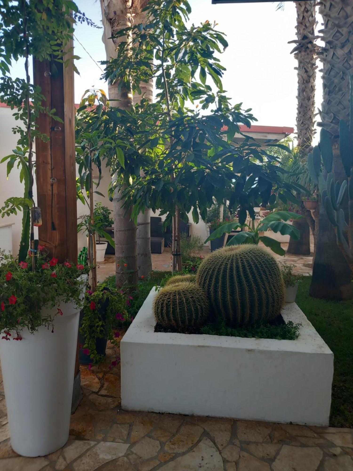 Villa Raggio Di Sole Parcheggio Privato Порто-Чезарео Екстер'єр фото